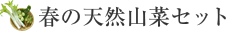 t̓VRR؃Zbg