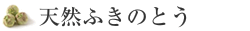 VRӂ̂Ƃ