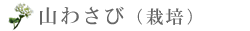 ͔|킳